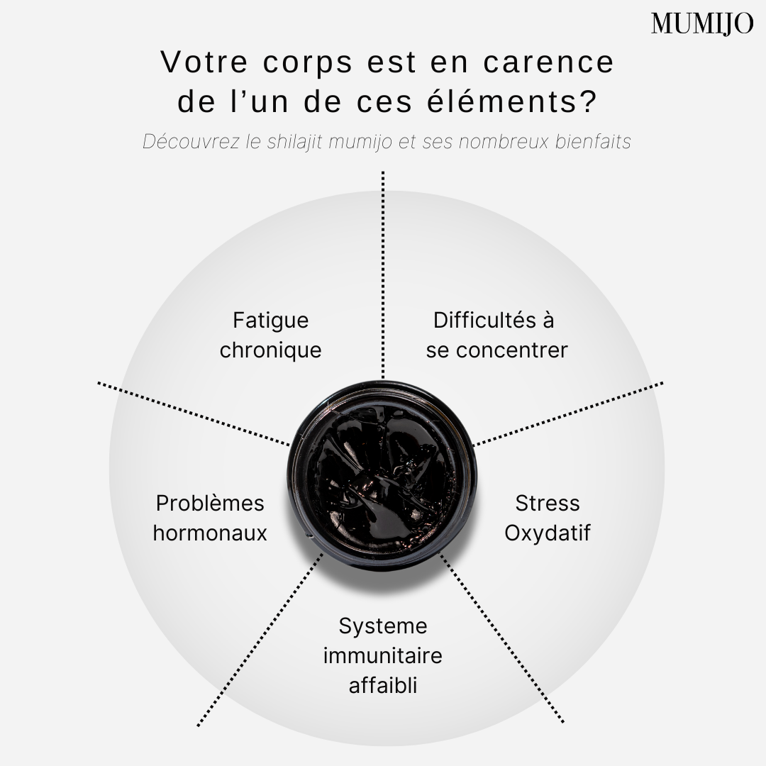 Shilajit - Votre Source d'Énergie Ancestrale